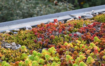 the cost of Michelmersh green roof installation