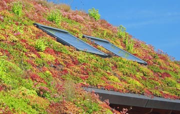 Michelmersh living roof systems