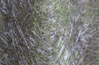 Michelmersh fibreglass roof work