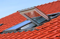 Michelmersh roof window